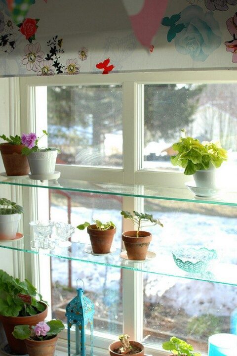 shelves in the kitchen - above the window shelving