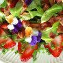 Spring Salads thumbnail