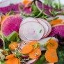spring salad with radish thumbnail