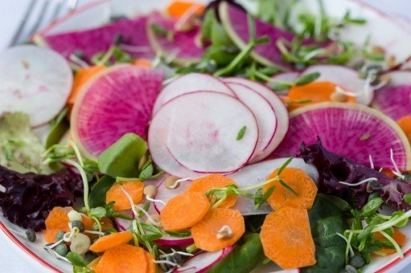 spring salad with radish