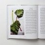 vegetable recipe book thumbnail