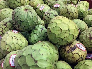 buying storing cherimoyas