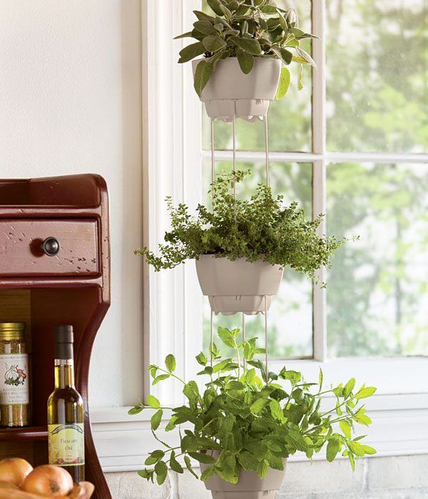 Herb Planters: How to Put More Green in Your Kitchen