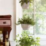 kitchen-herb-planter thumbnail