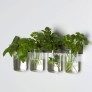 kitchen planter glass set thumbnail