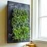 kitchen wall planter thumbnail