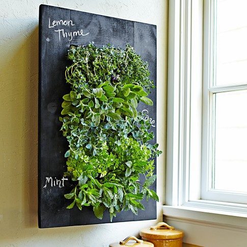 kitchen wall planter