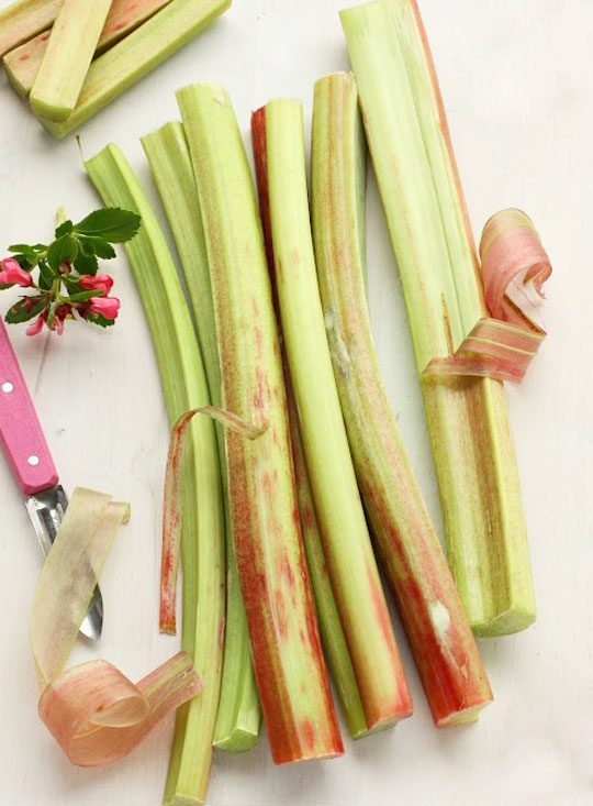 spring-vegetable-rhubarbe