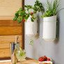 Kitchen-Gardening-inspiration thumbnail