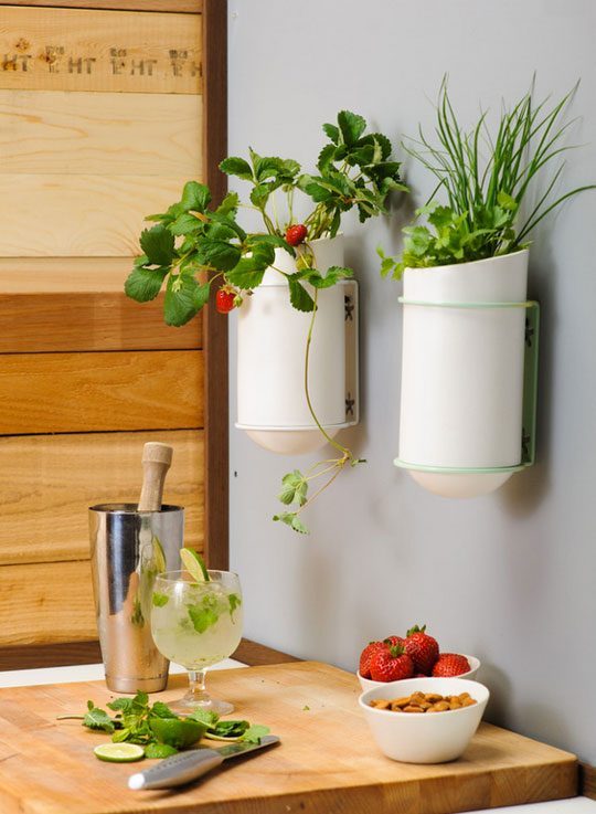 Kitchen-Gardening-inspiration