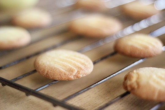 cookies dipped in chocolate