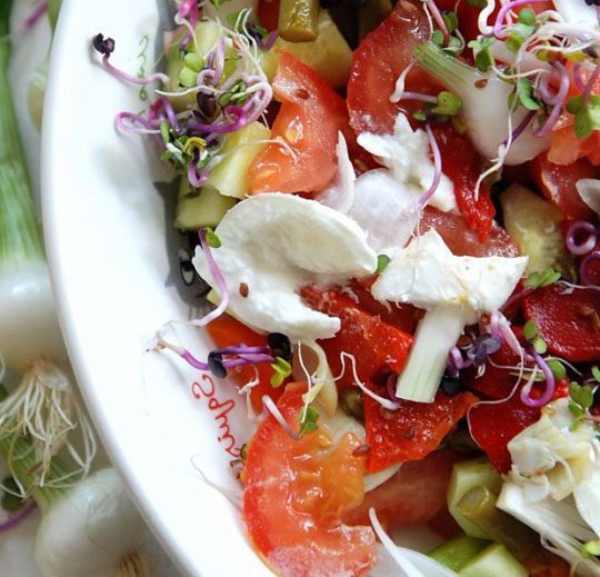 Spring Mix Salad ideas