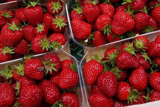 Strawberry Chocolate dessert image