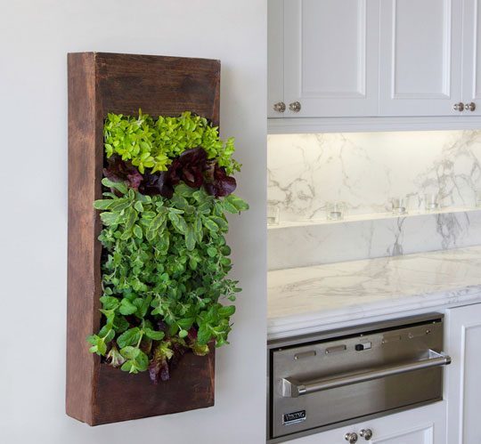 Vertical-Kitchen-Gardening