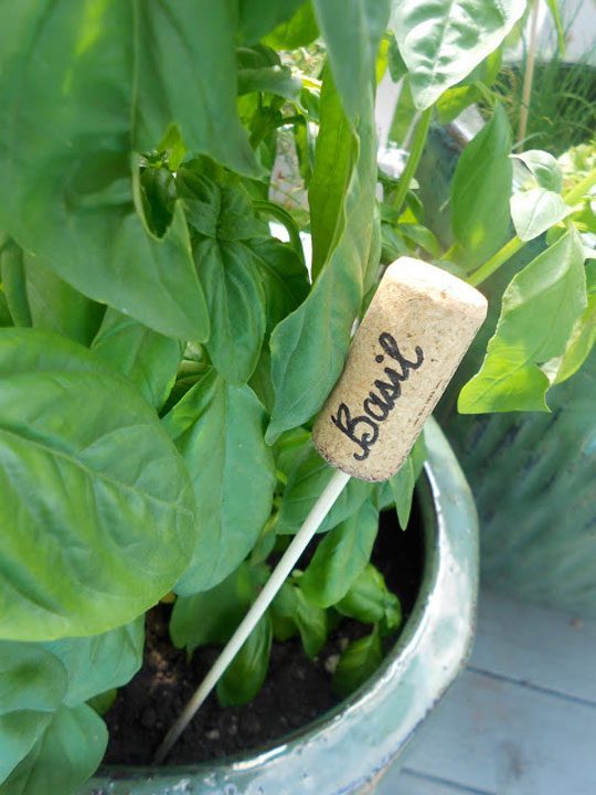 Wine Cork Garden Markers