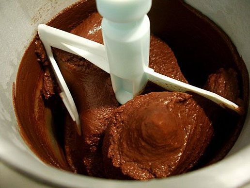 dark chocolate sorbet dessert