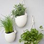 hanging-planters-ideas thumbnail