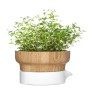 kitchen aromatic herbs planter thumbnail