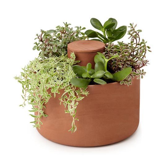 Kitchen Indoor Herb Planters Eatwell101, Kitchen Herb Garden Pots