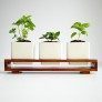kitchen indoor herbs planter thumbnail