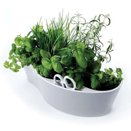 kitchen planter