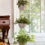 simple-Kitchen-Gardening-guide- thumbnail