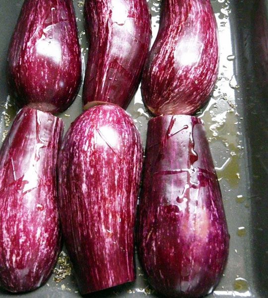 eggplant rolls recipe