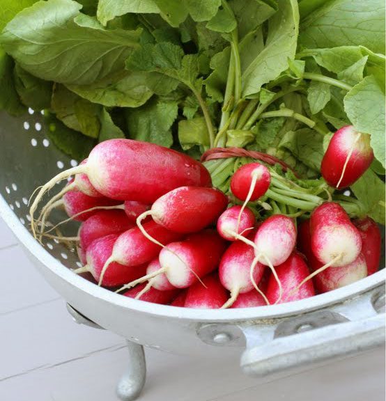 best radish recipe image