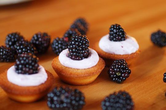 blackberry cupcakes recipe idea