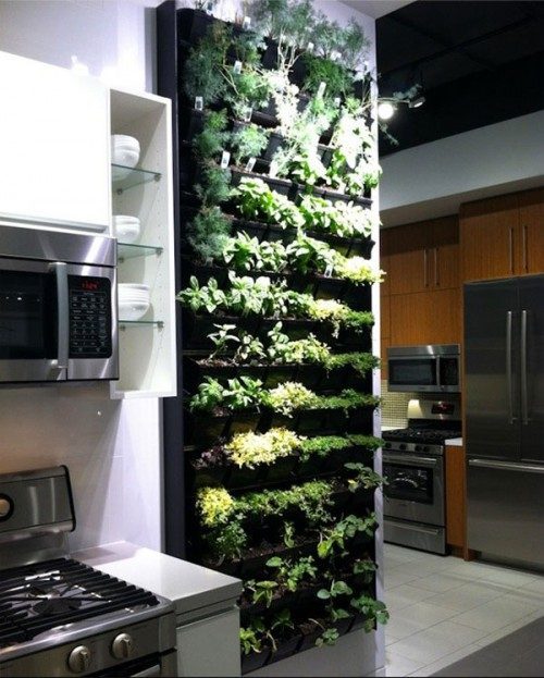 _Wall-planter-Decorating-Ideas