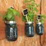 mason jar herb planters thumbnail