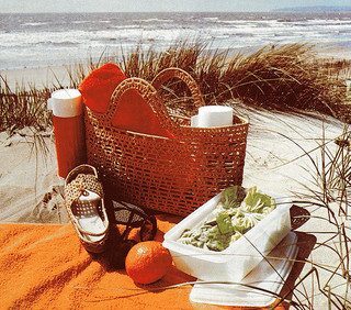 picnic at the beach