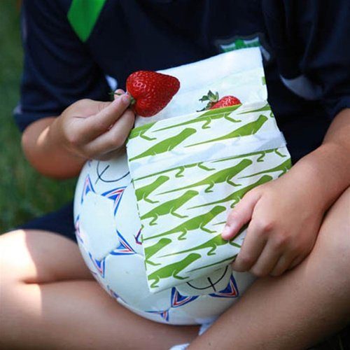 small insulated snack bag