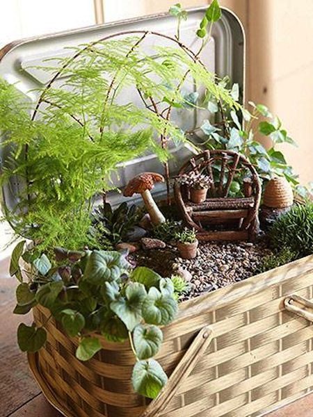 mini garden planter
