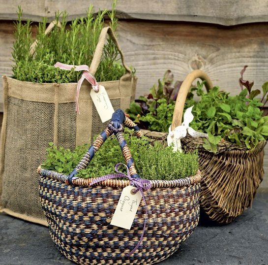 Small Space herb Container and Herb Garden Ideas