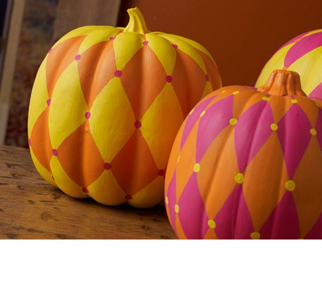 harlequin pumpkin