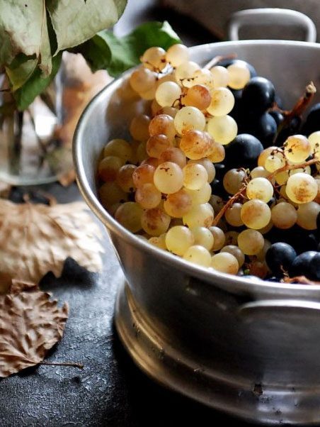 Best Way to Store Concord Grapes