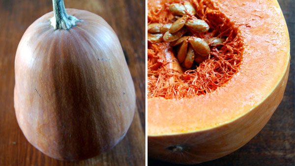 Butternut squash -recipe