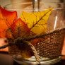 DIY Fall Leaf Candle Holder thumbnail