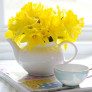 DIY TEA-POT craft ideas thumbnail