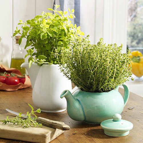 DIY tea pot planter