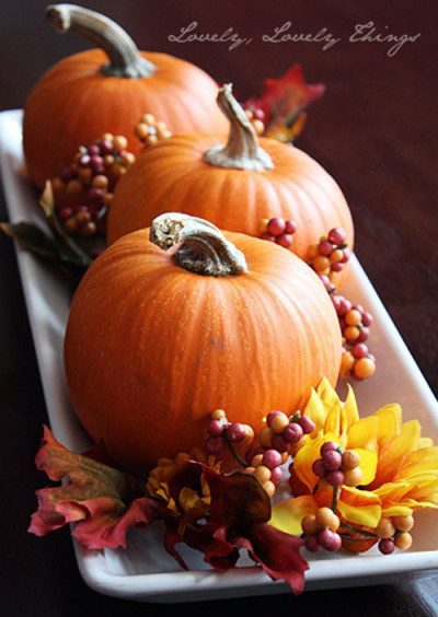 Thanksgiving Centerpieces ideas