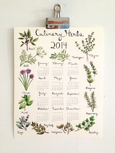 Culinary Herbs Calendar 2014