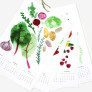 seasonal fruit vegetable calendar 2014 thumbnail