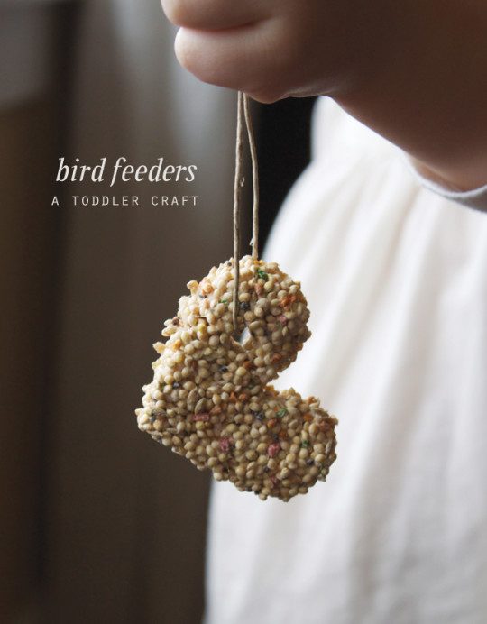 DIY bird feeders