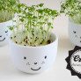 diy cress cup planter thumbnail