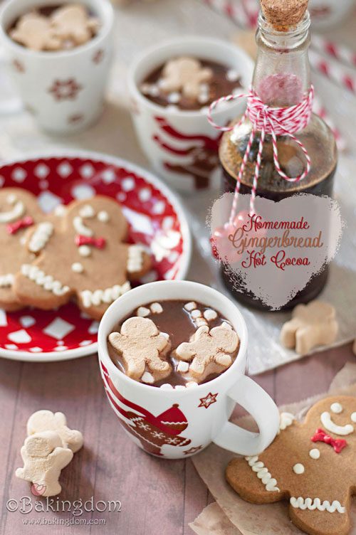 gingerbread hot cocoa recipe