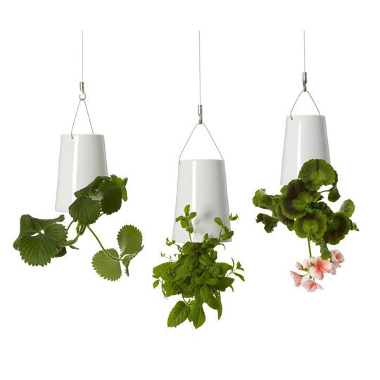 green your kitchen