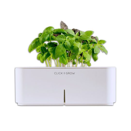 herb planter design