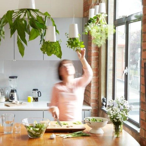 indoor garden organization